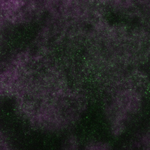 A slice from the stack is shown here